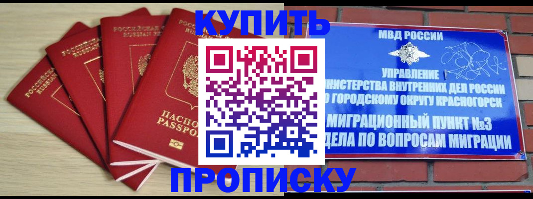 временная регистрация для всех в Кингисеппе