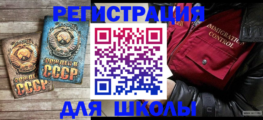 прописка поиск в Кингисеппе